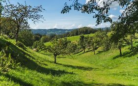 Gruenewaldhof In Rimbach Im Odenwald