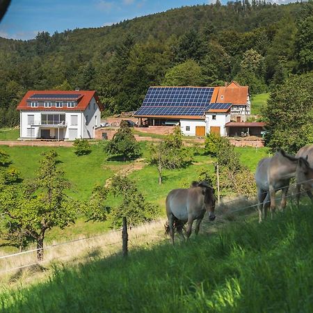 Ferienwohnung Gruenewaldhof In Rimbach Im Odenwald Exterior foto