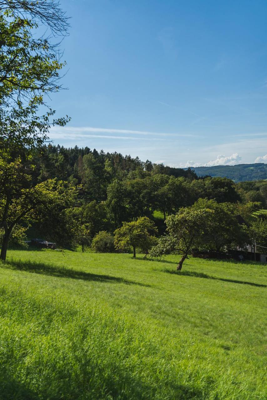Ferienwohnung Gruenewaldhof In Rimbach Im Odenwald Exterior foto