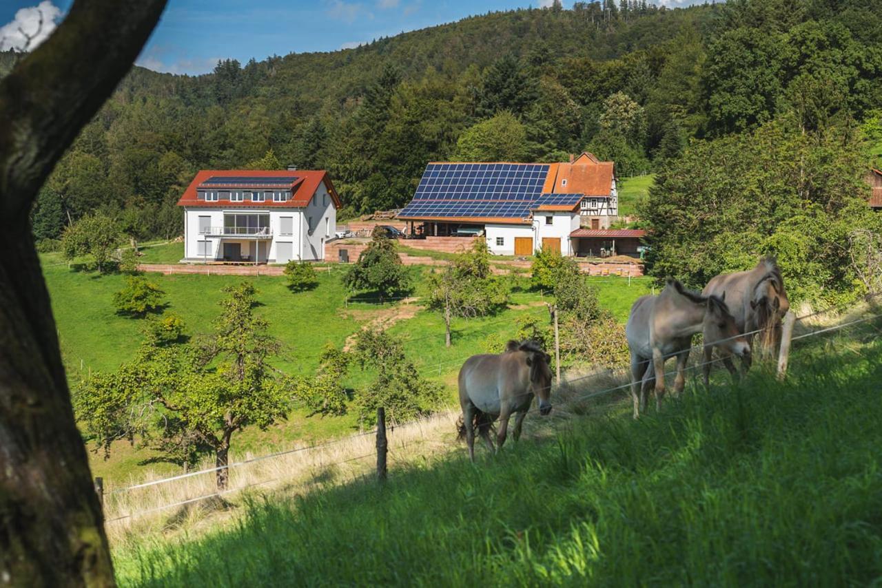 Ferienwohnung Gruenewaldhof In Rimbach Im Odenwald Exterior foto