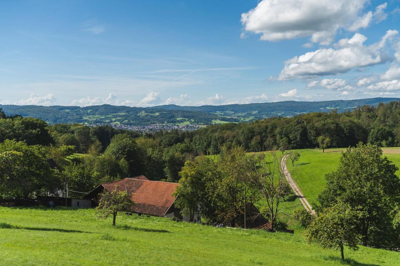 Ferienwohnung Gruenewaldhof In Rimbach Im Odenwald Exterior foto